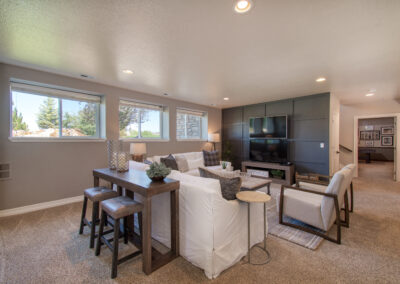 Basement Living Spaces